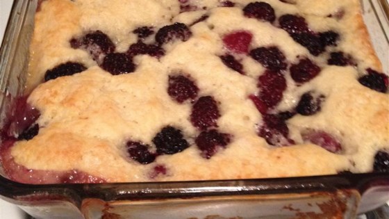 Best in Show Blackberry Cobbler