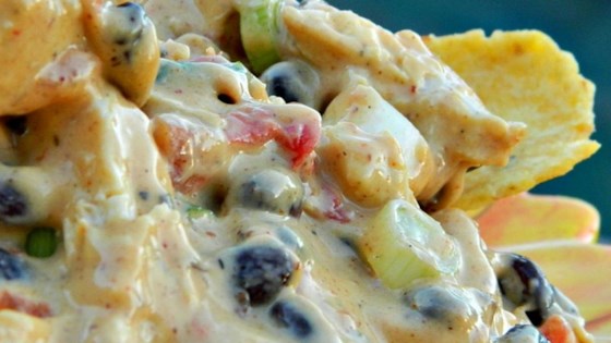 Outrageous Warm Chicken Nacho Dip