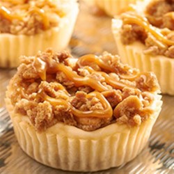 RITZ New York-Style Mini Crumb Cheesecakes