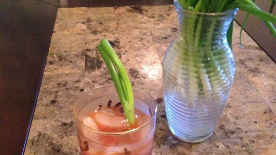 Homemade Bloody Mary Mix