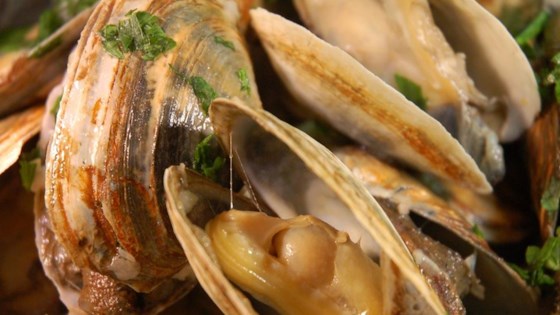 Scott Ure's Clams And Garlic