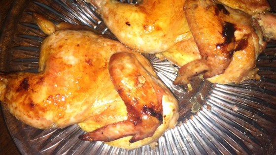 Honey Orange Cornish Hens