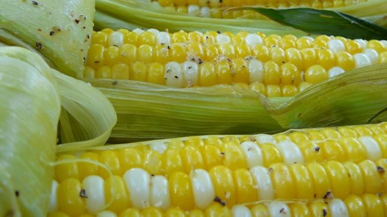 Grilled Corn on the Cob