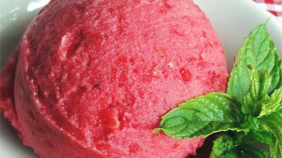 Raspberry Sorbet or Granita