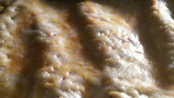 Spinach Alfredo Enchiladas