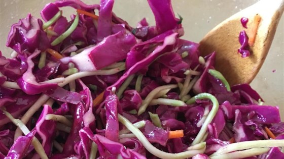 Red Cabbage Salad II