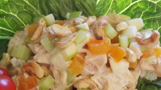 Gingery-Apricot Turkey Salad