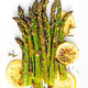 Asparagus Recipes