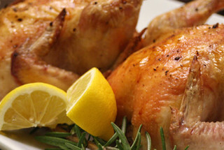 Gourmet Chicken Main Dish Recipes